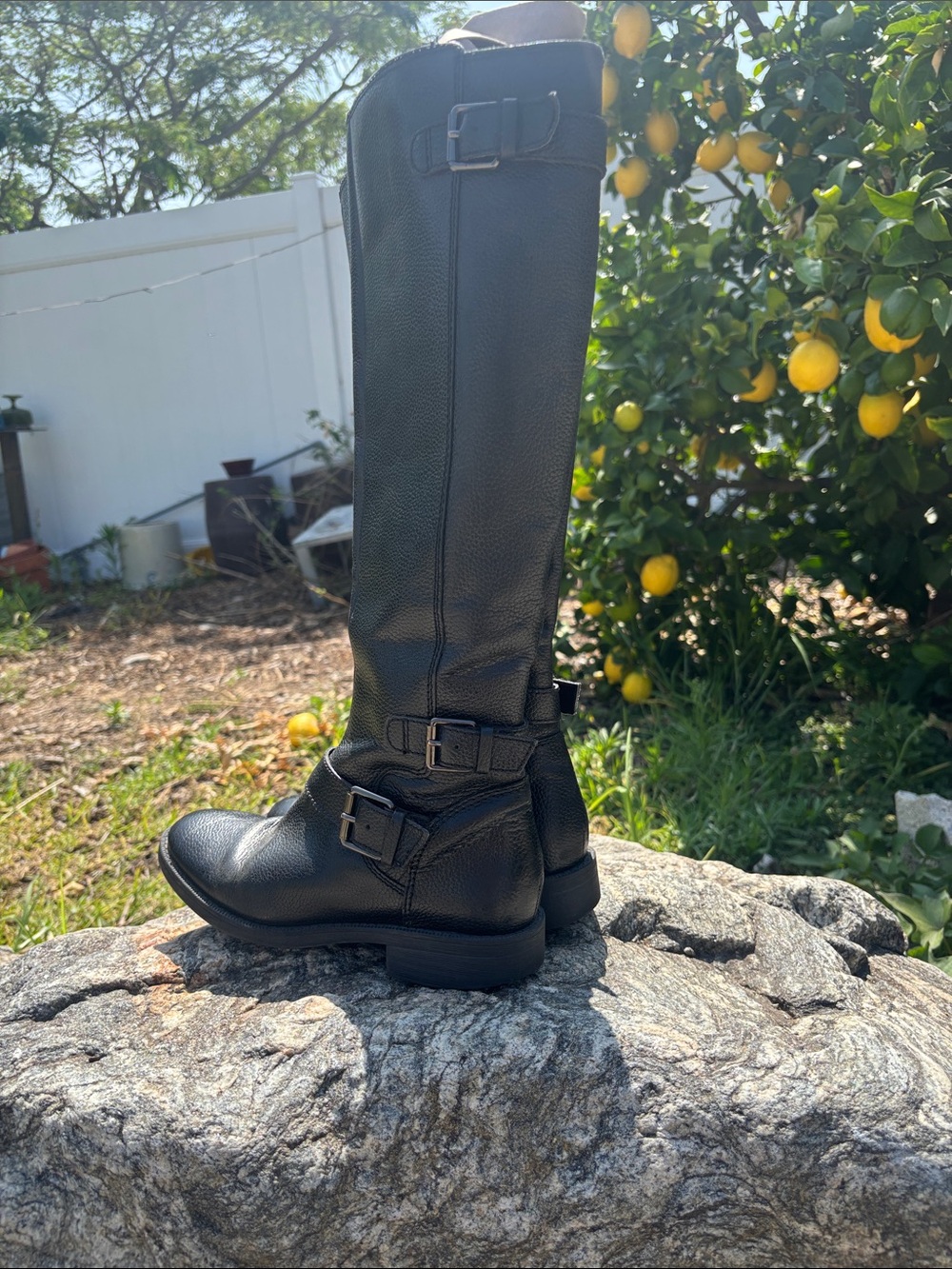 Enzo Angloligi Black Leather Knee-High Buckle Boots